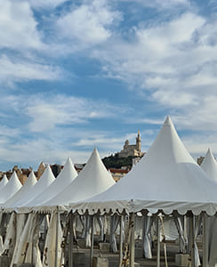 Barnums pliants professionnels