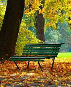Banc dans un parc public