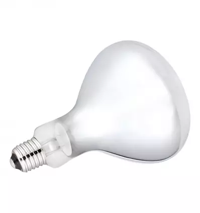 Ampoule chauffante blanche