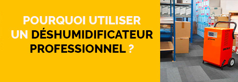 Pourquoi utiliser un déshumidificateur professionnel ?