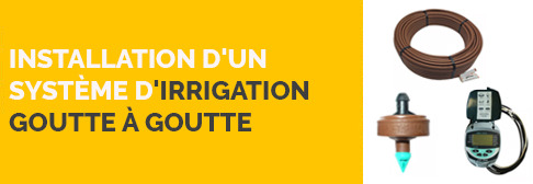 Installation d'un système d'irrigation goutte à goutte