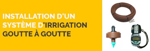 Installation d'un système d'irrigation goutte à goutte