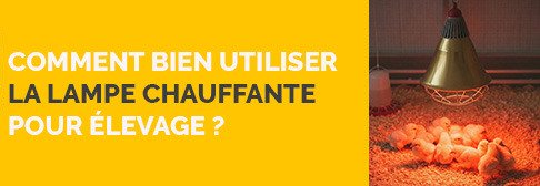 Comment bien utiliser la lampe chauffante pour élevage ?