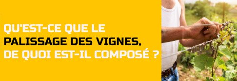 Qu'est ce que le palissage des vignes, de quoi est-il composé ?