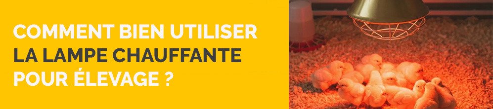 Comment bien utiliser la lampe chauffante pour élevage ?