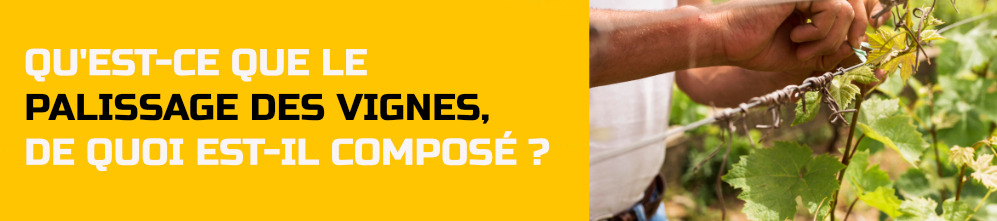 Qu'est ce que le palissage des vignes, de quoi est-il composé ?